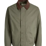 DUSTY OLIVE