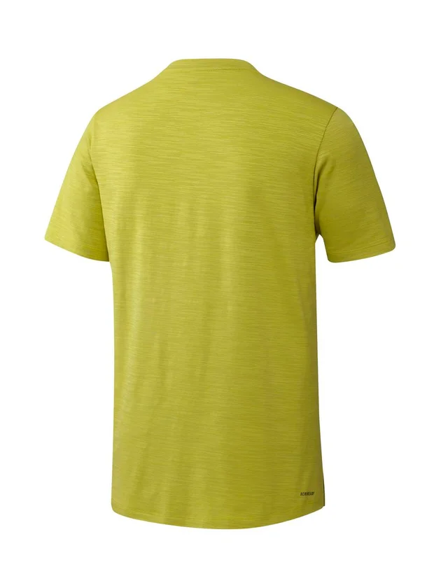City Elevated T