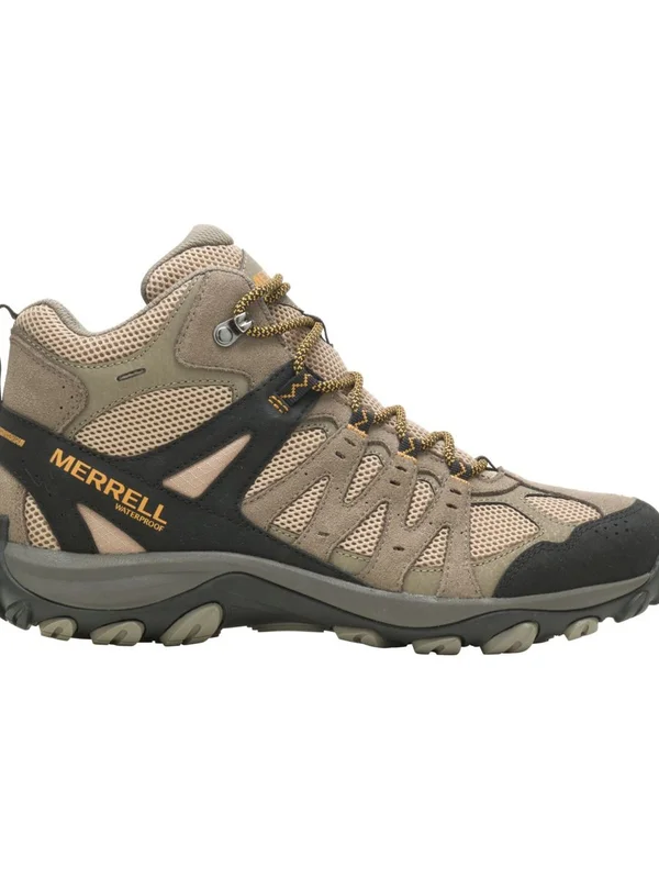 Accentor 3 Mid