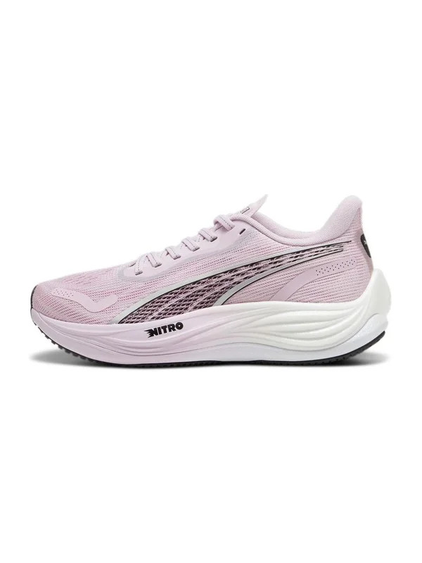 Velocity Nitro 3 RR