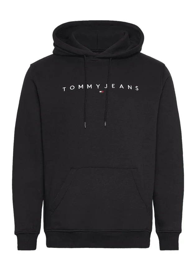 Reg Linear Logo Hoodie Ext