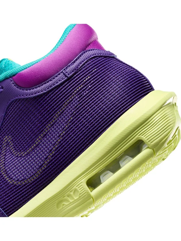 Lebron Witness VIII