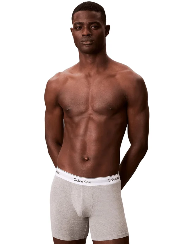 Relaxed Fit Trunk 3P