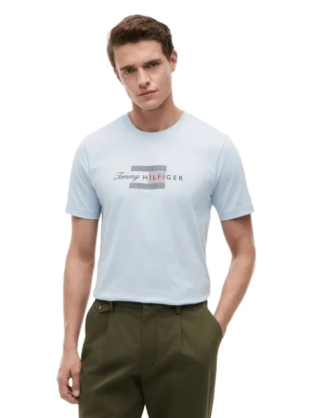 Script Flag Regular