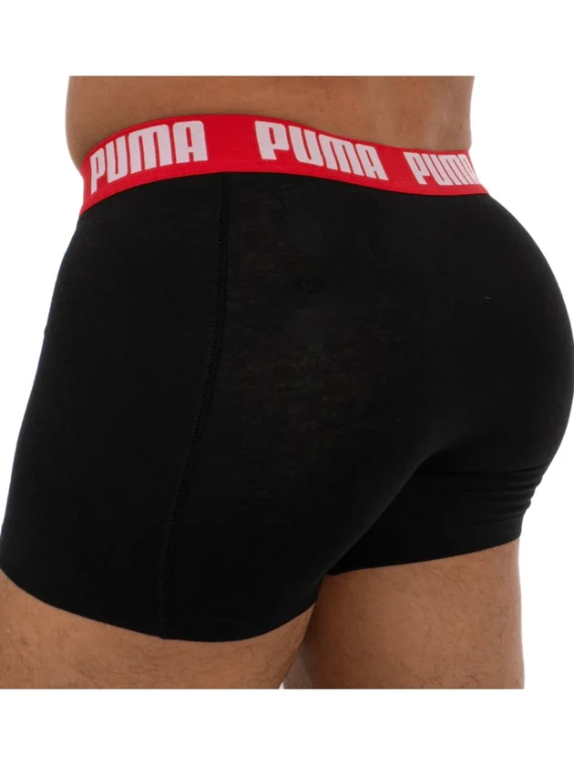 Basic Boxer 2P