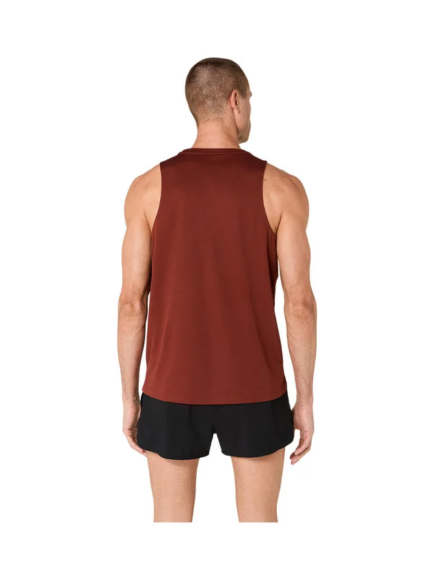Core Singlet