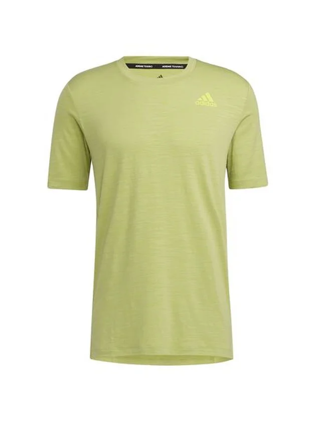 City Elevated T