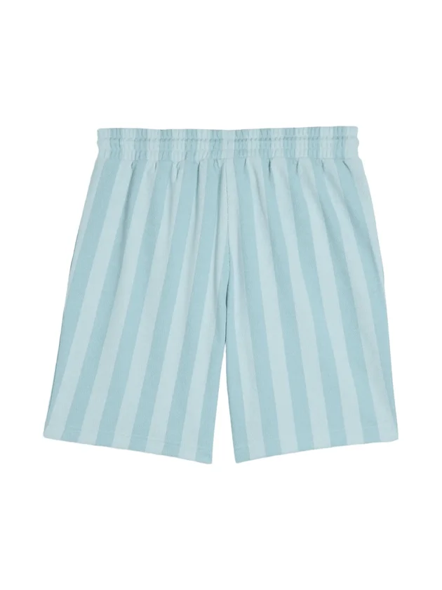 Class 8 Shorts