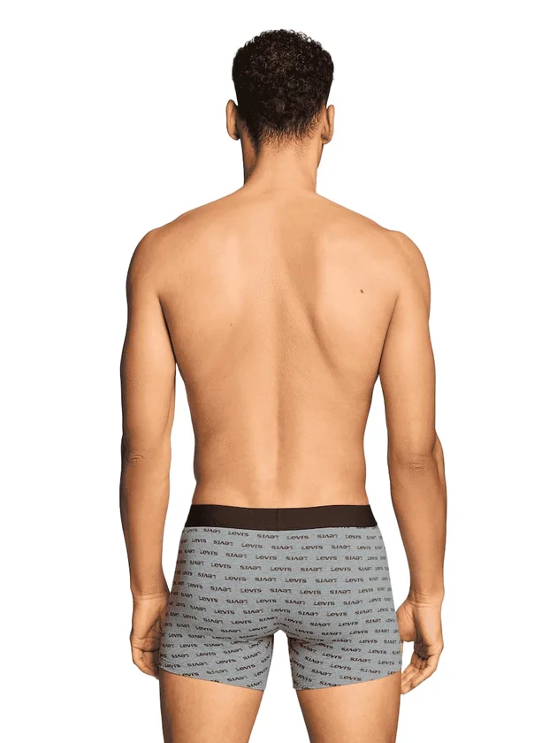 Logo Aop Boxer Brief 2P