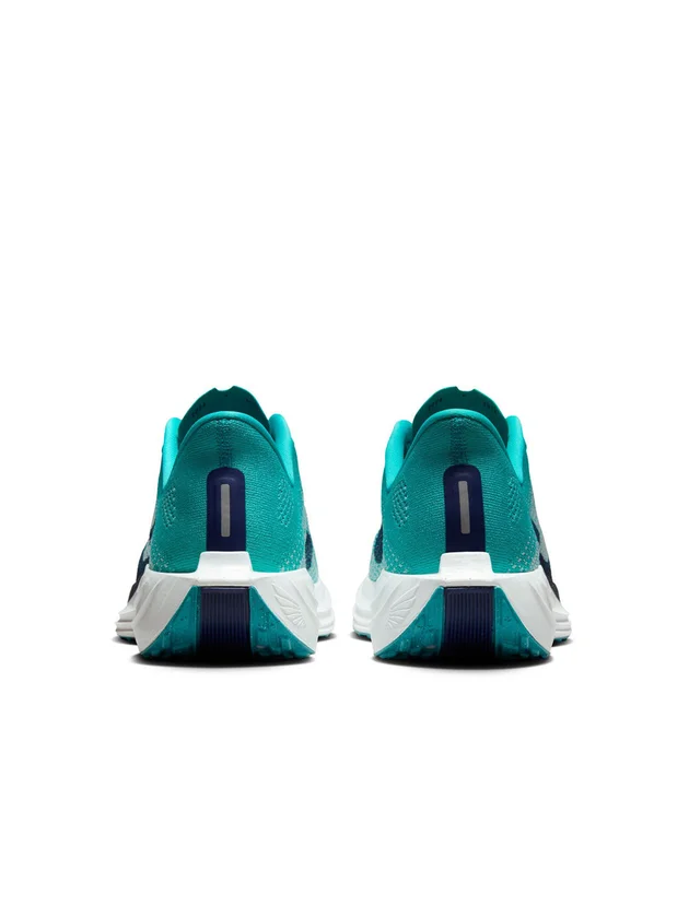 Pegasus Plus