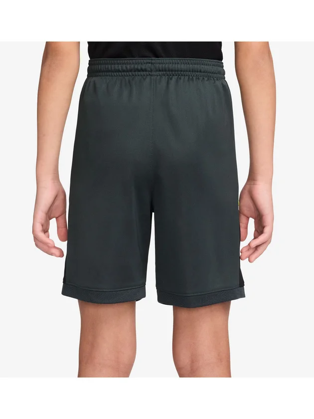 Dri-FIT Academy Short 7in
