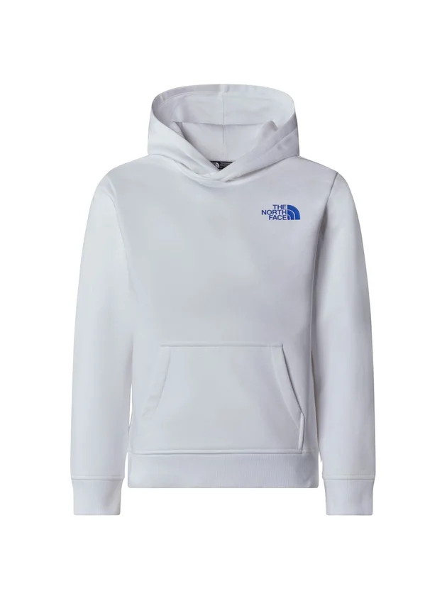 Teen Box Nse Regular Hoodie