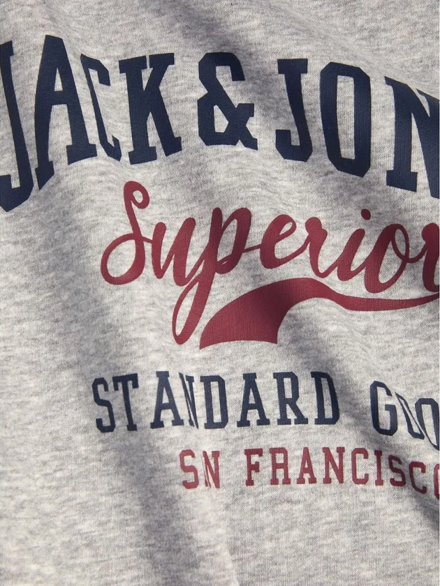 Jjlogo Sweat Hood 2 Col 22 23 Noos