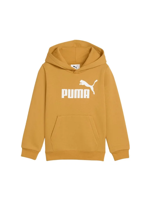 Ess No 1 Logo Hoodie Fl