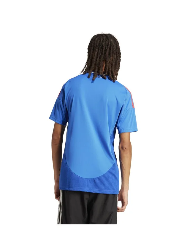 Figc Jsy