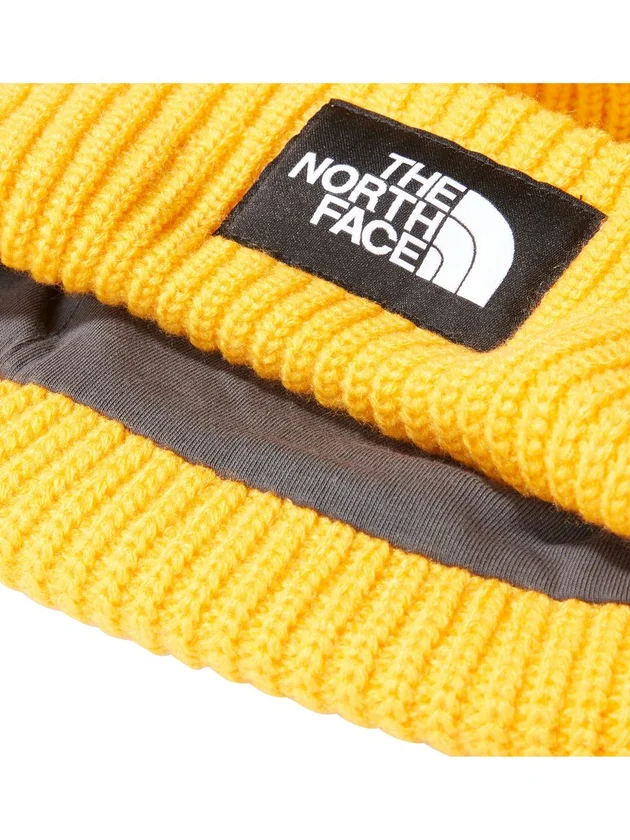 Salty Lined Beanie