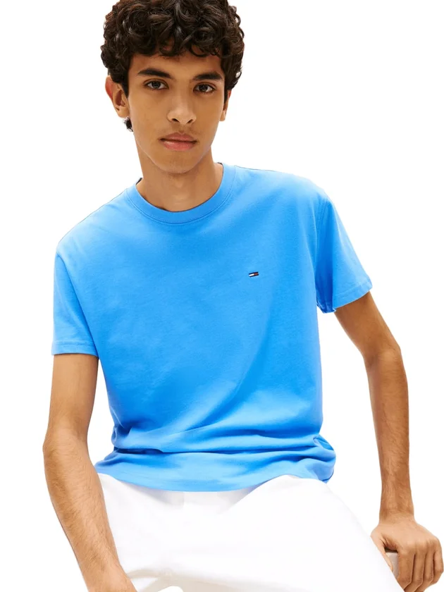 Tjm Reg Sflag Ss Tee