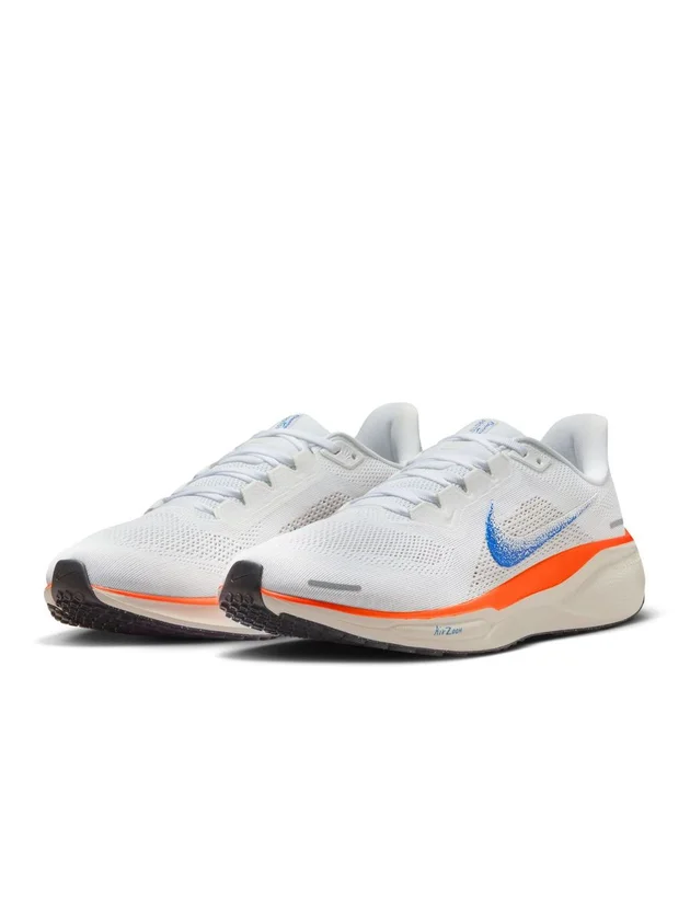 Air Zoom Pegasus 41 FP