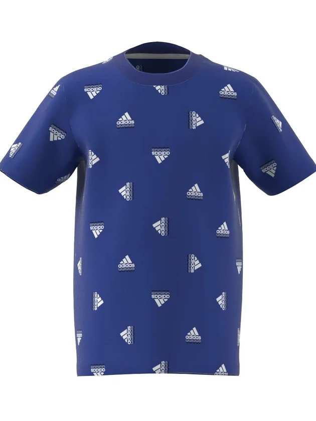 Lk Bluv Co Tee