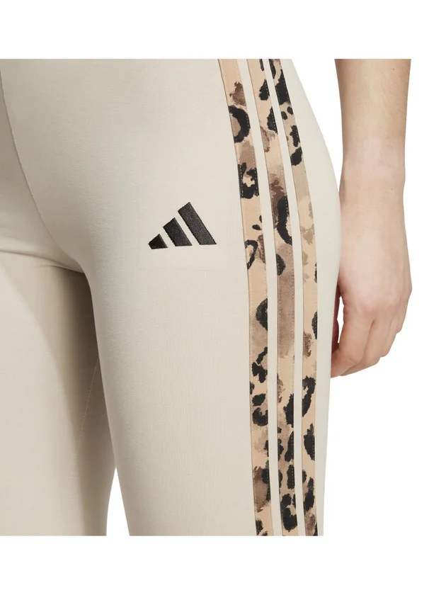 Aop Leg
