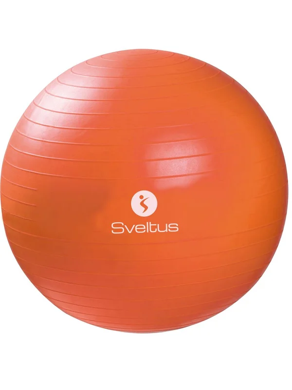 Gymball 55 Cm Bte