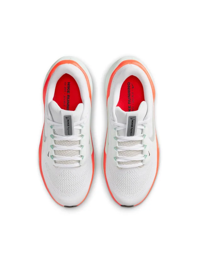 Air Zoom Pegasus 41