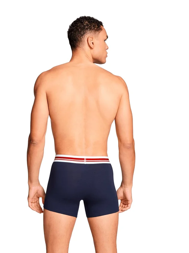 Everyday Placed Logo Boxers 2P