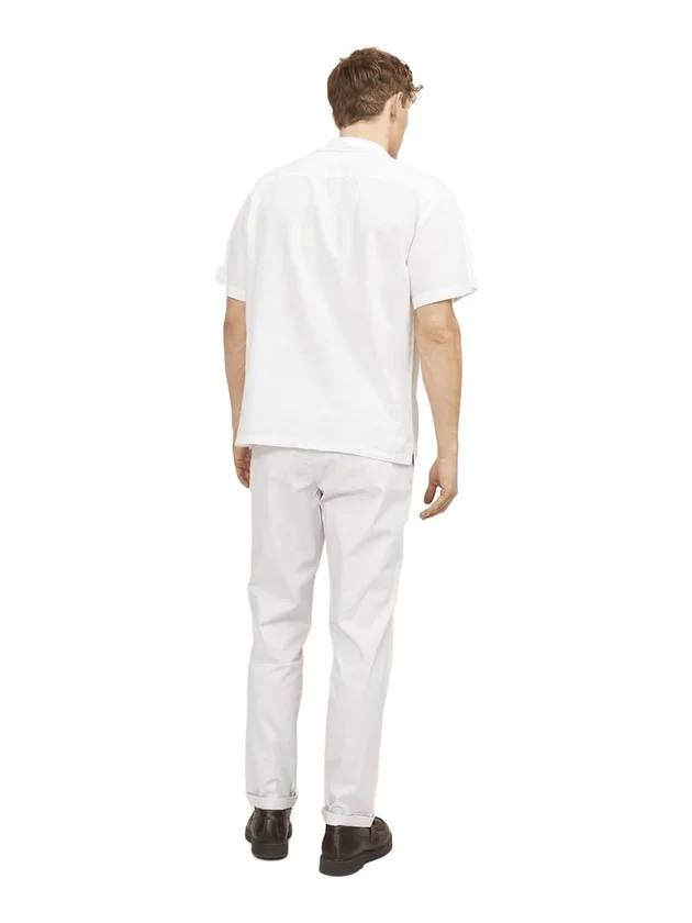 Sunny Chino