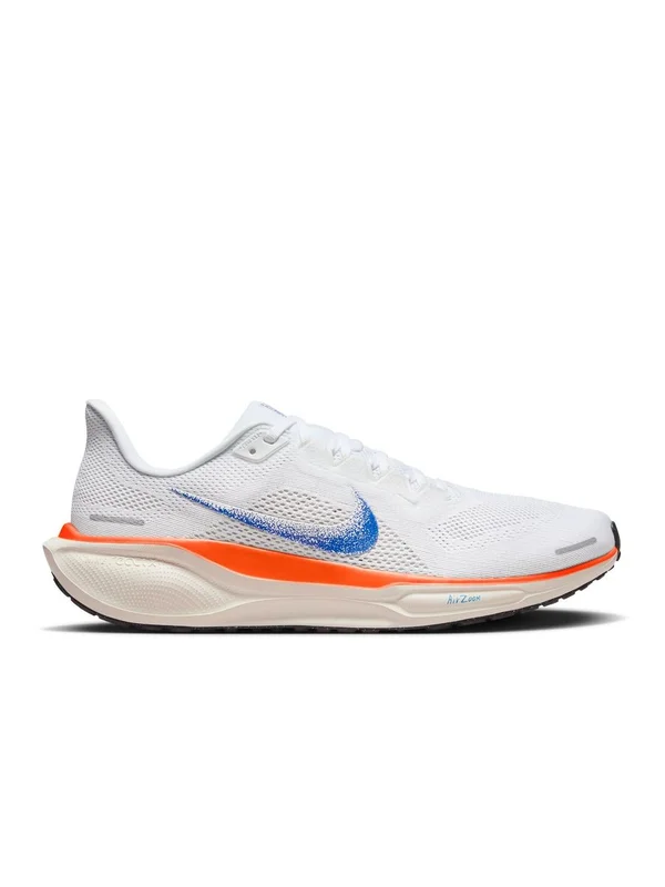 Air Zoom Pegasus 41 FP