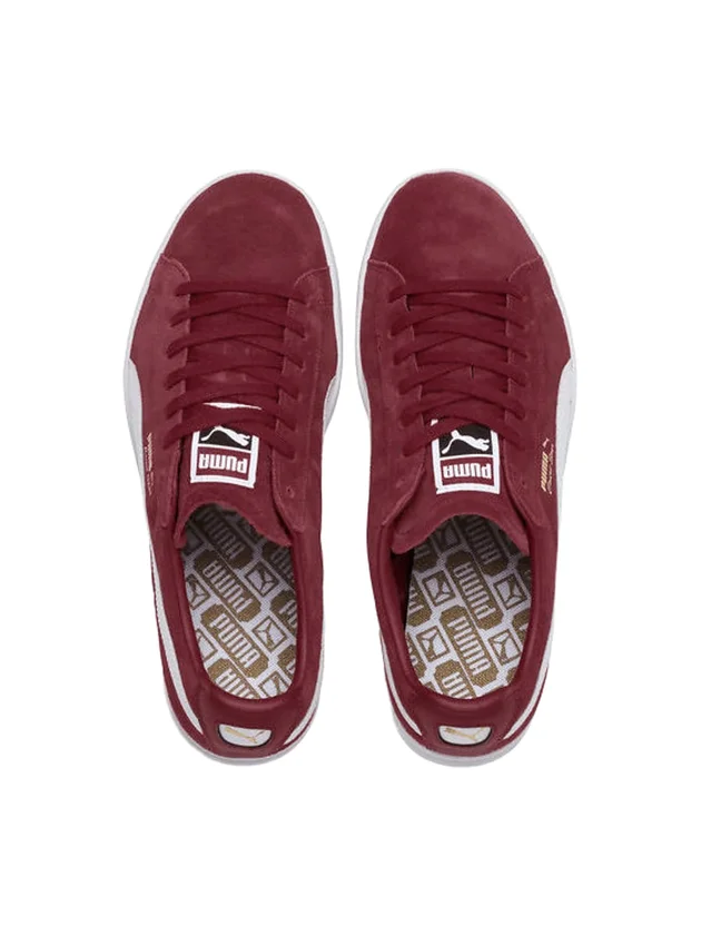 Court Star FS