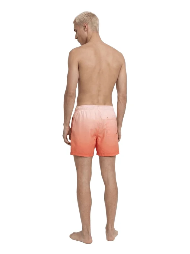 Horizon Dip Dye Swim Shorts