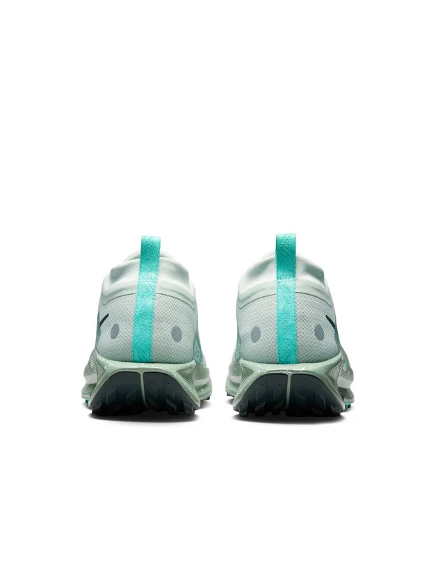 Pegasus Trail 5 GTX