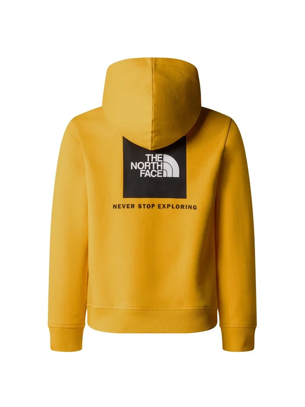 Teen Box Nse Regular Hoodie