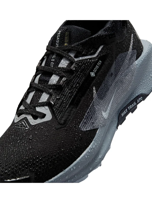 Pegasus Trail 5 GTX