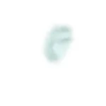 DIMMED ALGAE