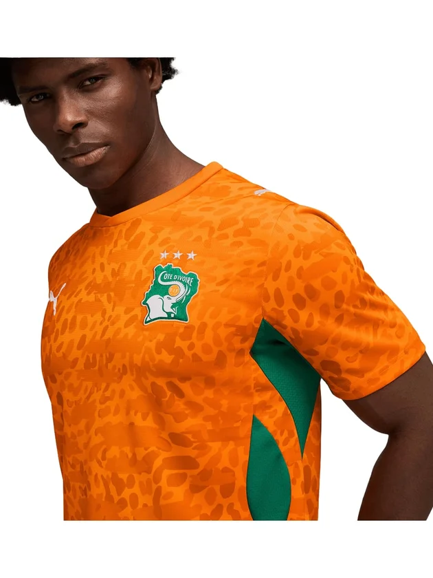 Côte d'Ivoire Domicile 2026