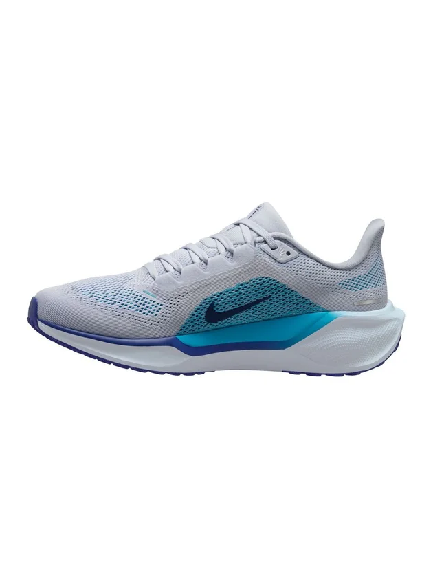 Air Zoom Pegasus 41