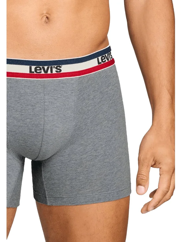 Repeat Spw Logo Boxer Brief 2P