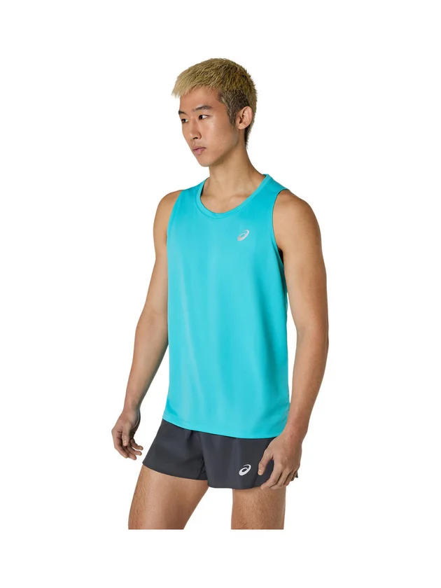 Core Singlet