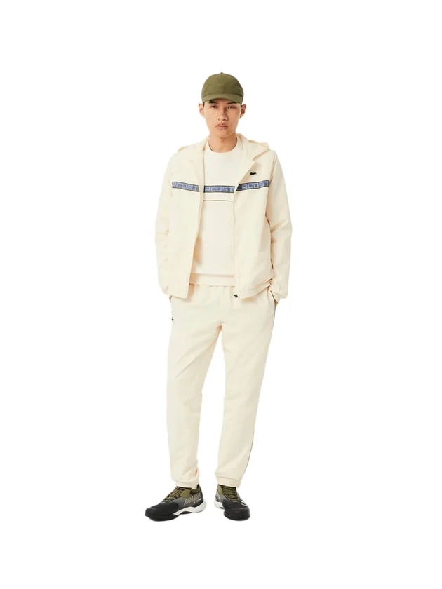 Technical Capsule