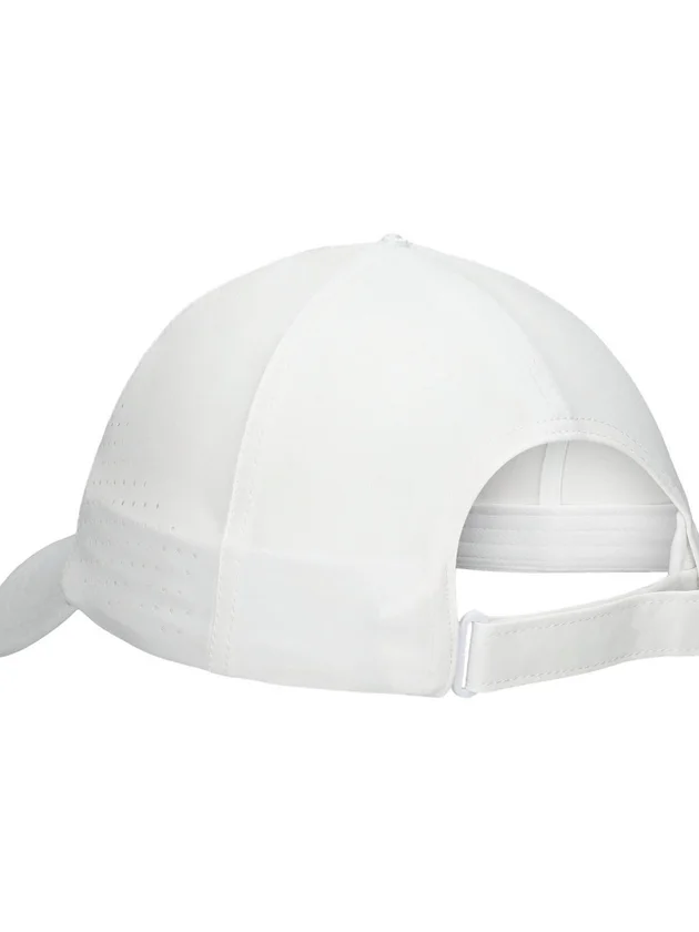 Performance Cap