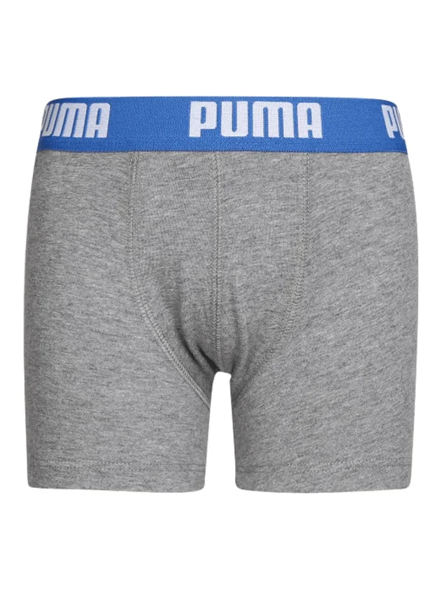 Basic Boxer 2P