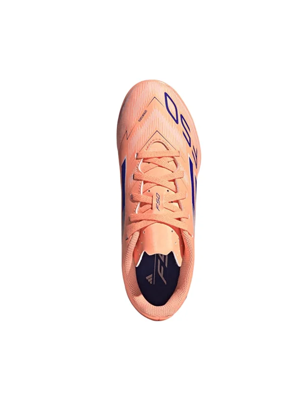 F50 Club TF