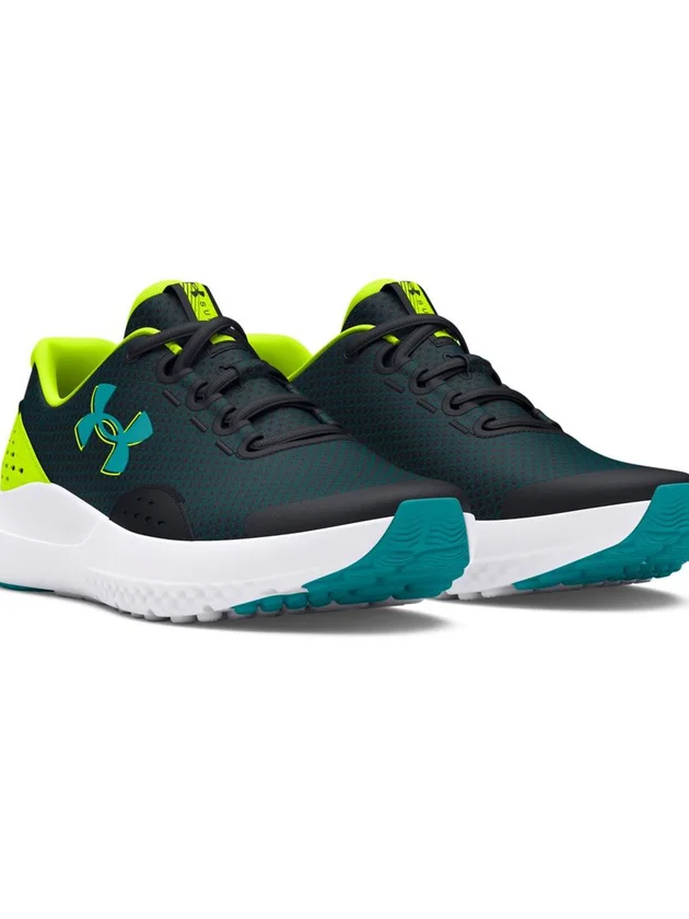 Surge 4