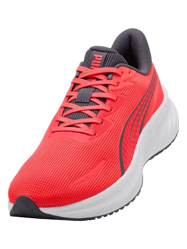 Pounce Lite 2