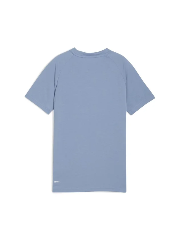 Evostripe Tee B