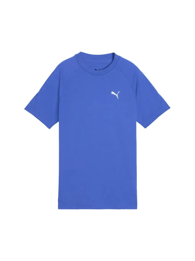 Evostripe Tee B