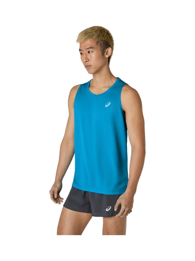 Core Singlet