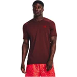 CHESTNUT RED