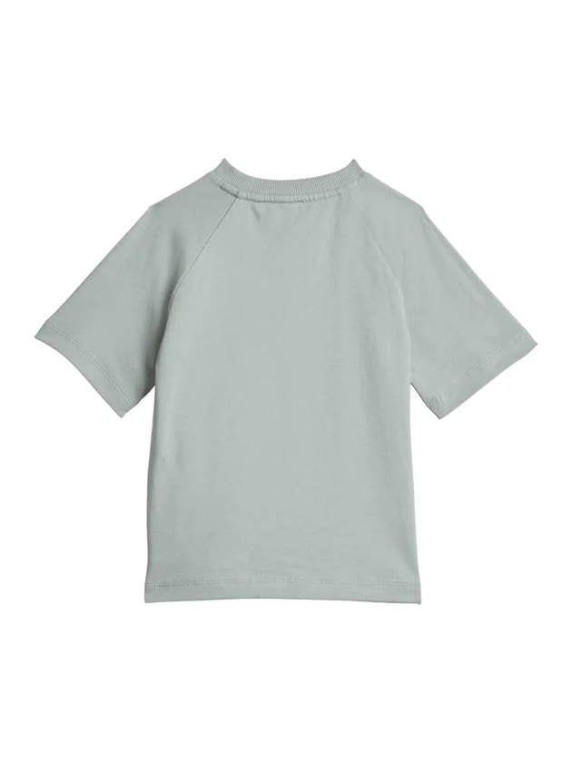 Trnstr T Set